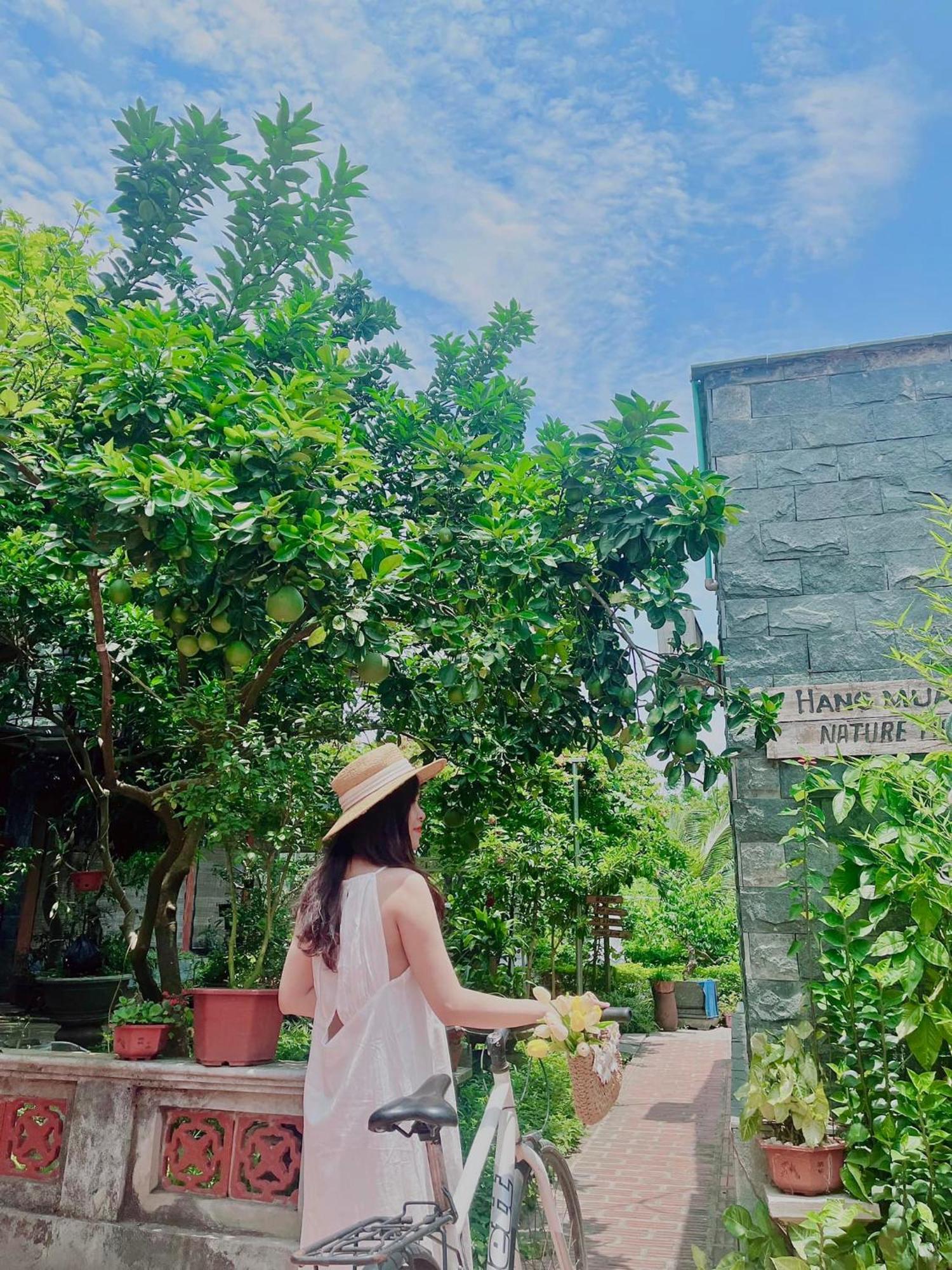 Hang Mua Nature Homestay Ninh Bình Extérieur photo