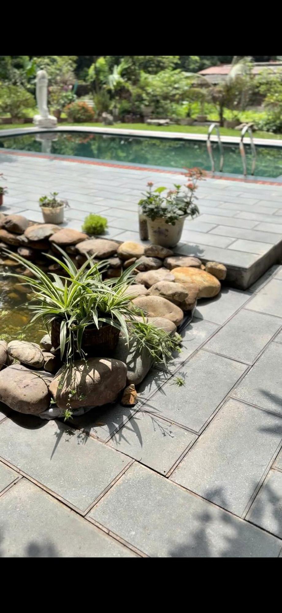 Hang Mua Nature Homestay Ninh Bình Extérieur photo