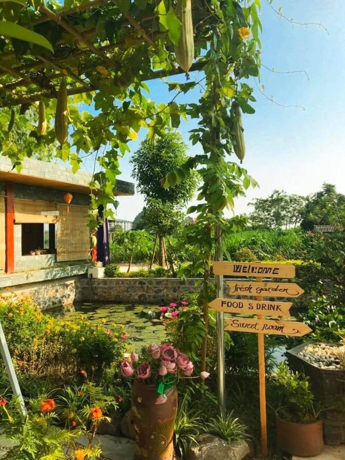 Hang Mua Nature Homestay Ninh Bình Extérieur photo