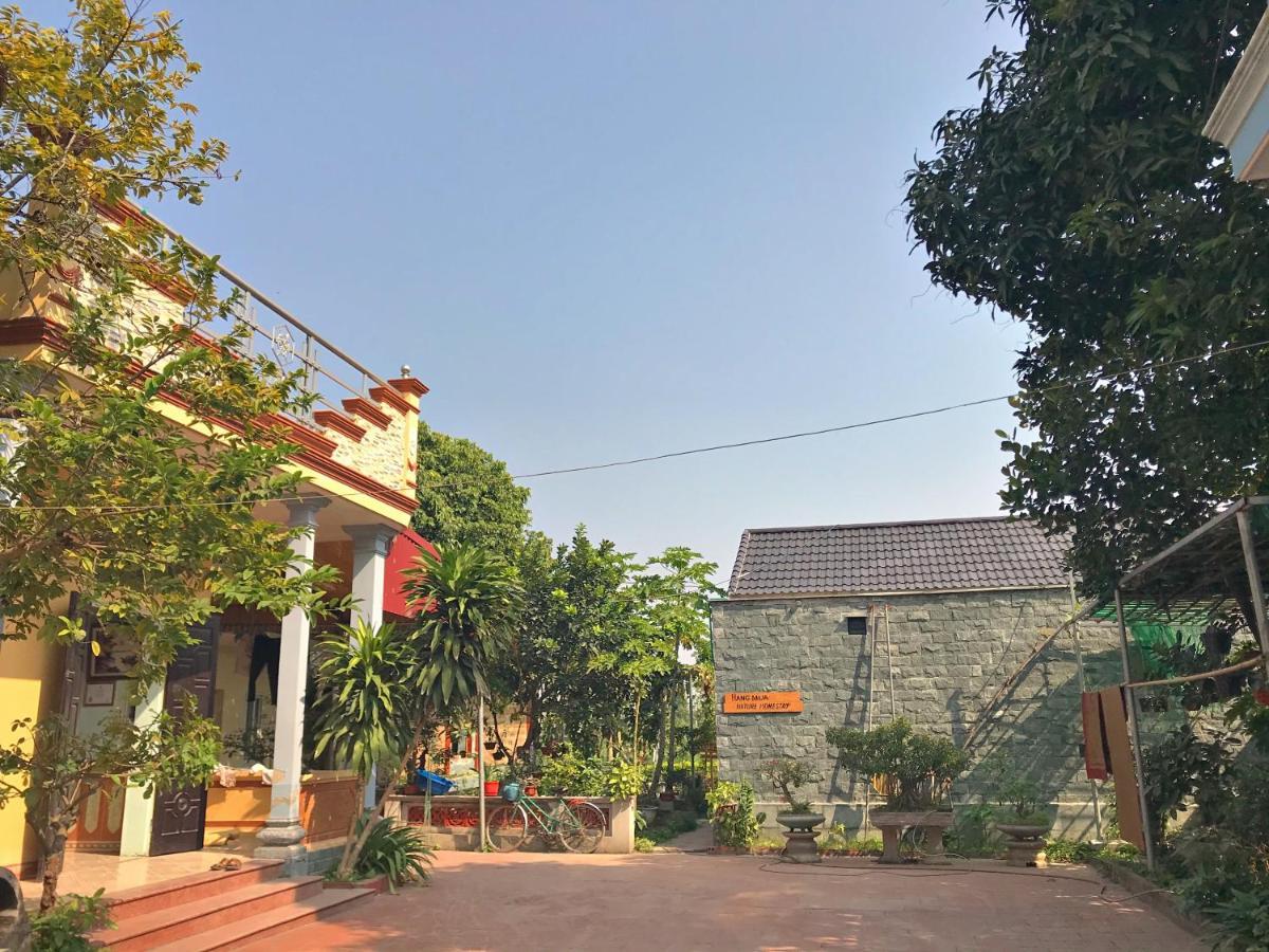 Hang Mua Nature Homestay Ninh Bình Extérieur photo
