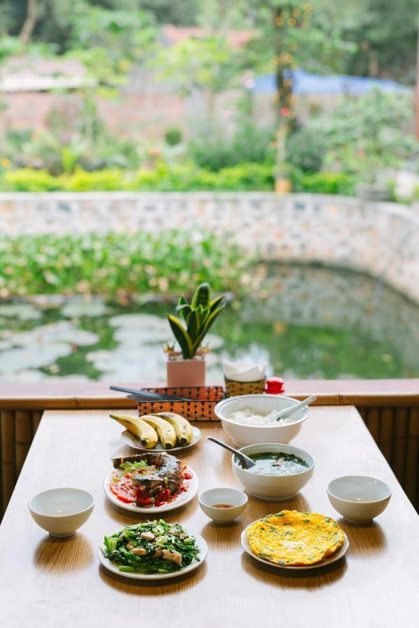 Hang Mua Nature Homestay Ninh Bình Extérieur photo